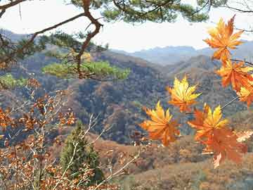 石家庄配送员薪资与广汽传祺GS8价格探秘，轻松聊薪资购车之道