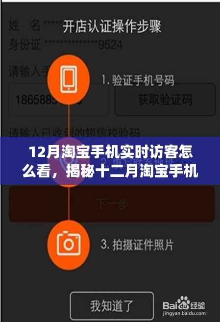 揭秘十二月淘宝手机实时访客洞察,深度解析与应对策略