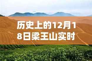 狗尾续貂 第4页