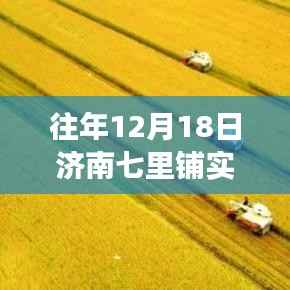 济南七里铺蔬菜市场变迁,十二月十八日蔬菜价格岁月印记