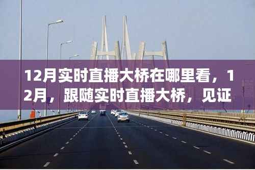见证力量,12月实时直播大桥,自信成就之光展现变化力量