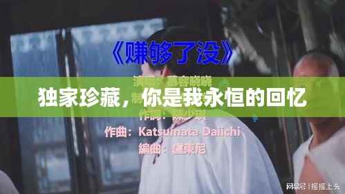 独家珍藏,你是我永恒的回忆