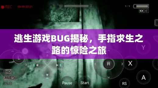 逃生游戏BUG揭秘，手指求生之路的惊险之旅
