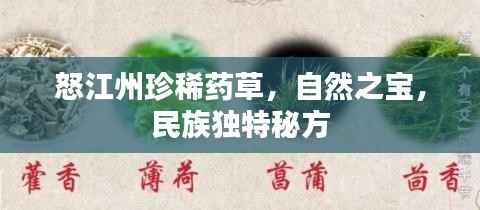 怒江州珍稀药草,自然之宝,民族独特秘方