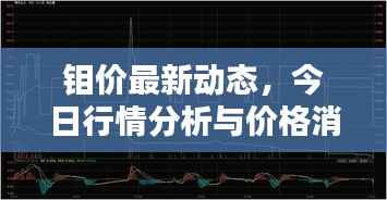 钼价最新动态,今日行情分析与价格消息一网打尽