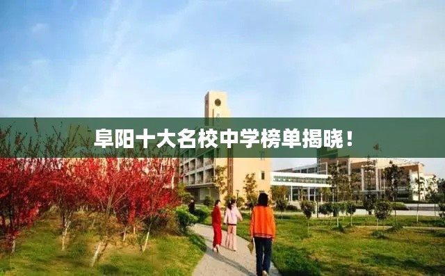 阜阳十大名校中学榜单揭晓!