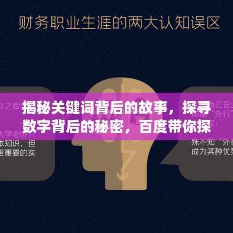 揭秘关键词背后的故事,探寻数字背后的秘密,百度带你探索真相