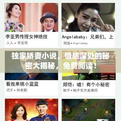独家娇妻小说,情感深处的秘密大揭秘,免费阅读!