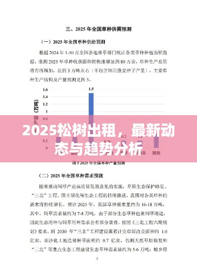2025松树出租,最新动态与趋势分析