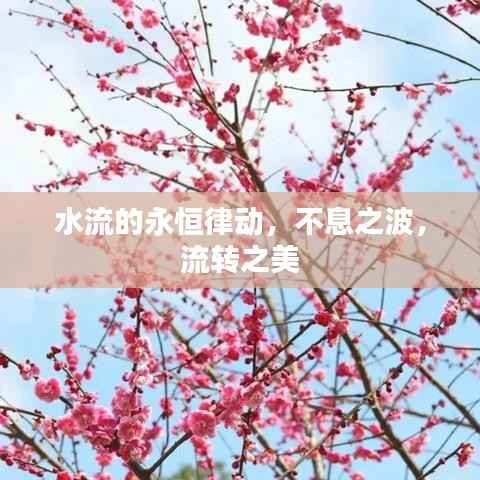 水流的永恒律动,不息之波,流转之美